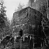 Mercury Smelter Sultan Washington